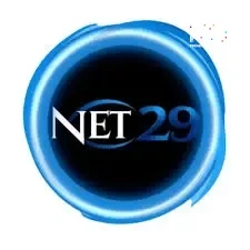 Logo net29